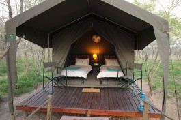 Eco camp tent 