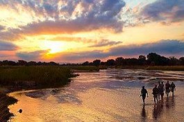 Kafue walk 