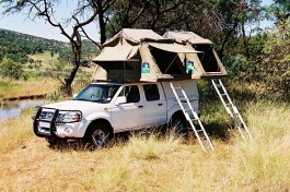Tour transport 
