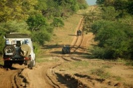 Liuwa drive 