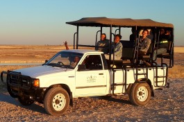 Etosha wildlife drive 