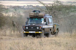 Landcruiser  