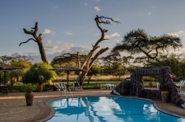 Camp in Amboseli 