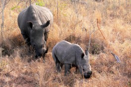 Mother and child  by Violator1