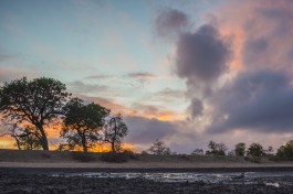 Sunset in Kruger 