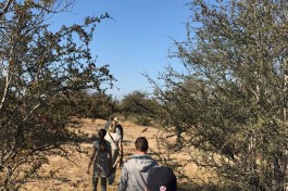 A walk in the bush 