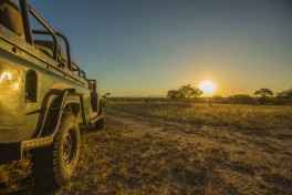  Sunset game drive 
