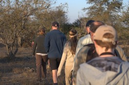 Bush walk in Klaserie 