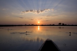 Sunset on the hippo pool  by Lawrence Murray