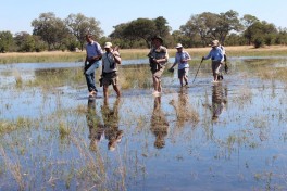 Walking Safari in the Delta 