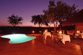 Thornybush lodge pool 
