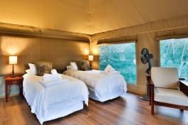 Thornybush safari accommodation 