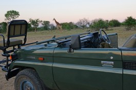Thornybush safari vehicle 