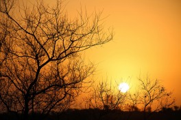 Sunset in Kruger  by Flowcomm