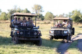 On safari 