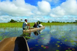 Drifitng through the Okavango Delta 