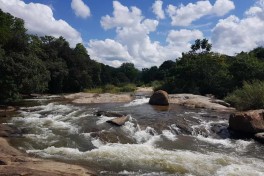 Sabie River rapids 
