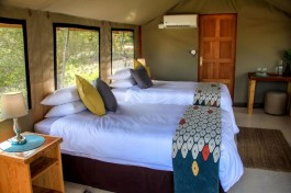 Tented accommodation 