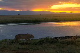African . sunset  by Ray in Manila