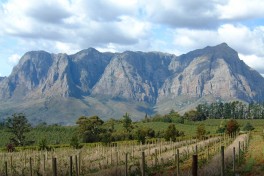 Stellenbosch Winelands  by Kwang Cho