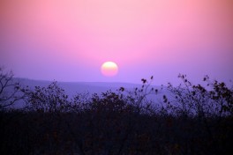Sunset over Kruger  by Flowcomm