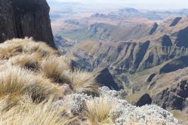 Drakensberg  by Ian Cochrane