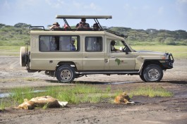 Safari vehicle 