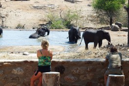 At the waterhole 