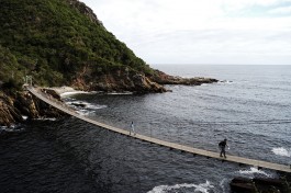 Suspension Bridge, Tsitsikamma  by Chris Bloom