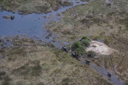 A birds-eye view of the Okavango Delta  by Mathius