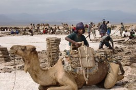 Afar Dallol salt mining 