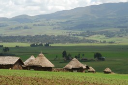 Bale mountains 