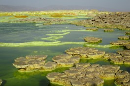 Lake Asale sulphur springs  by Ian Swithinbank