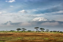 Distant Kilimanjaro  by Sergey Pesterev