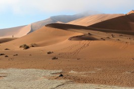 Namib Desert  by Keith Roper