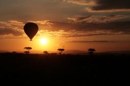 Balloon Safari over Masai Mara  by Michiel van Balen