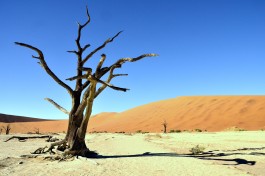 Sossusvlei  by Eric Bauer