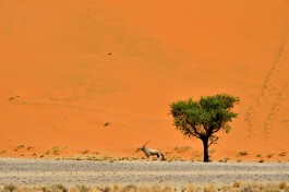 Sossusvlei  by Eric Bauer