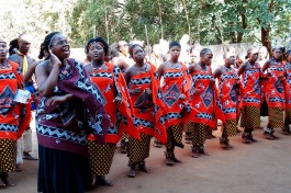 The people of Swaziland  by Terrence Franck