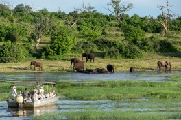 Chobe River boat tour 