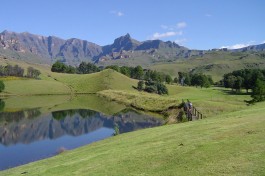 Drakensberg gardens  by Trevor Birchall