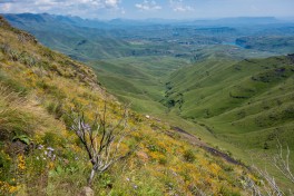 Drakensberg mountains  by Klim Levene