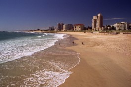 Port elizabeth  by Brian Snelson