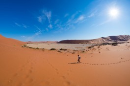 Namib Desert 